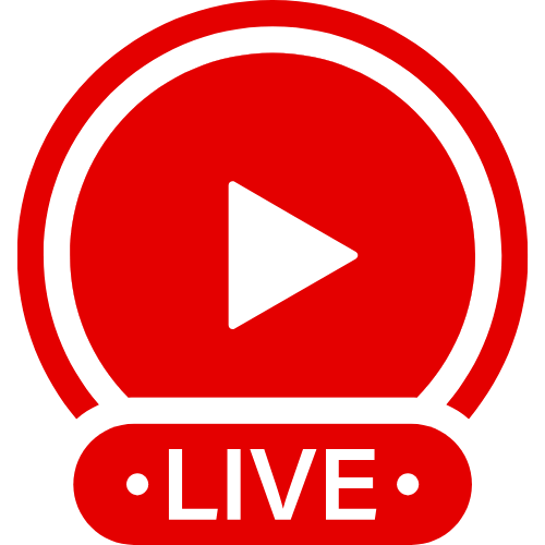 Ssbbw Ebony Live Xx | Live Webcam Shows & Interactive Adult Entertainment